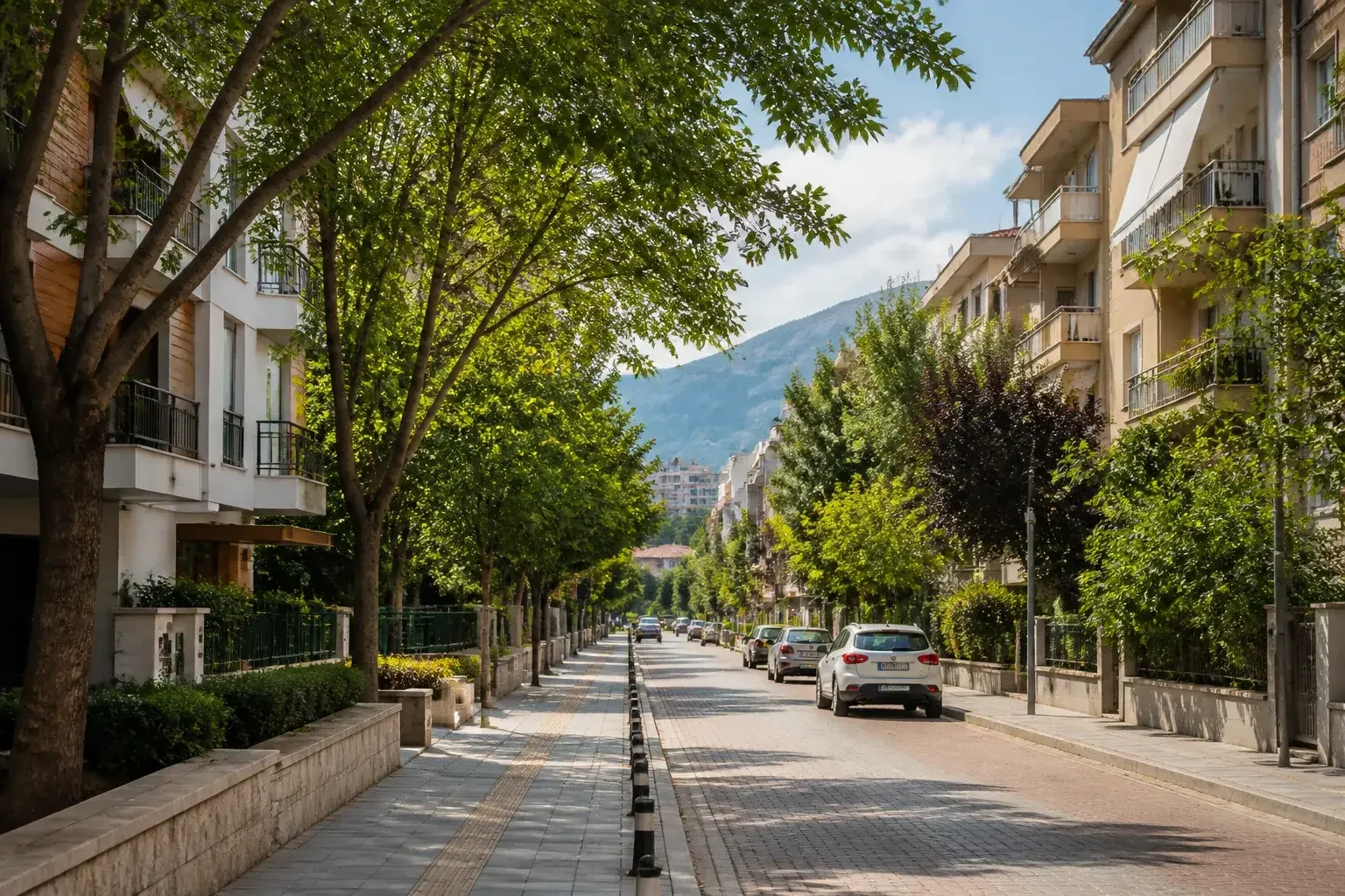 Bornova’da ağaçlıklı ve sakin mahalle sokağı